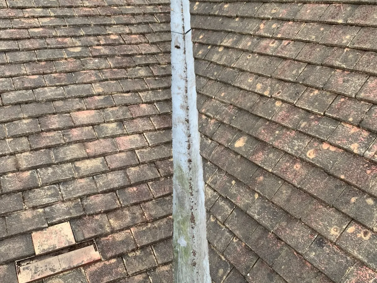 A grey tiled roof and ridge