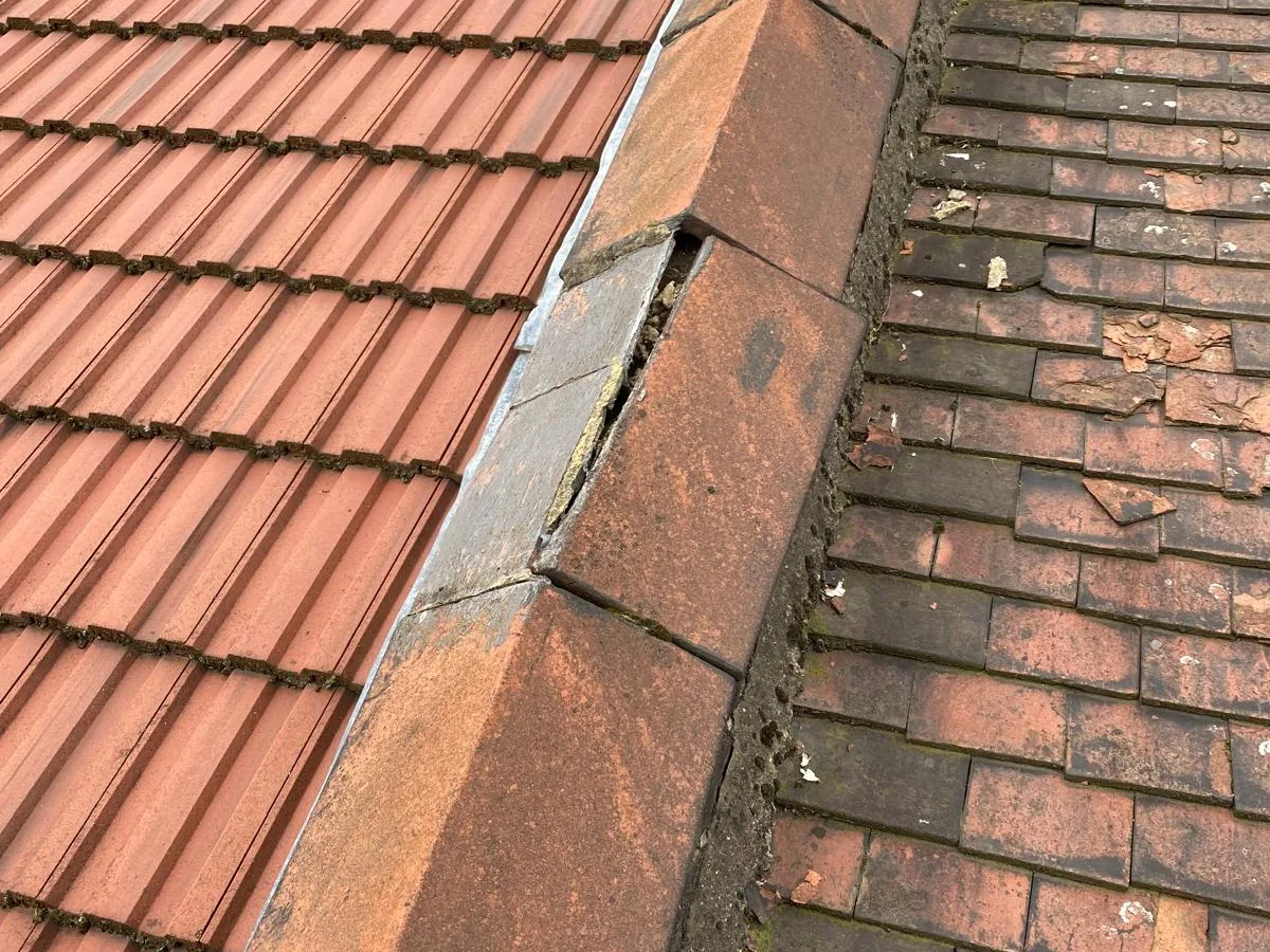 A tiled roof finished at the eaves